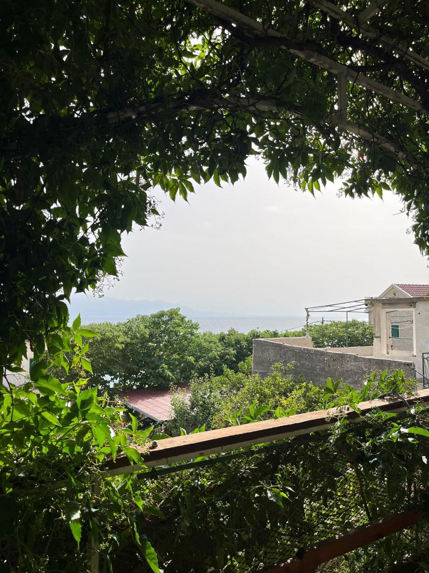Apartmani Ankora Brist Cameră foto